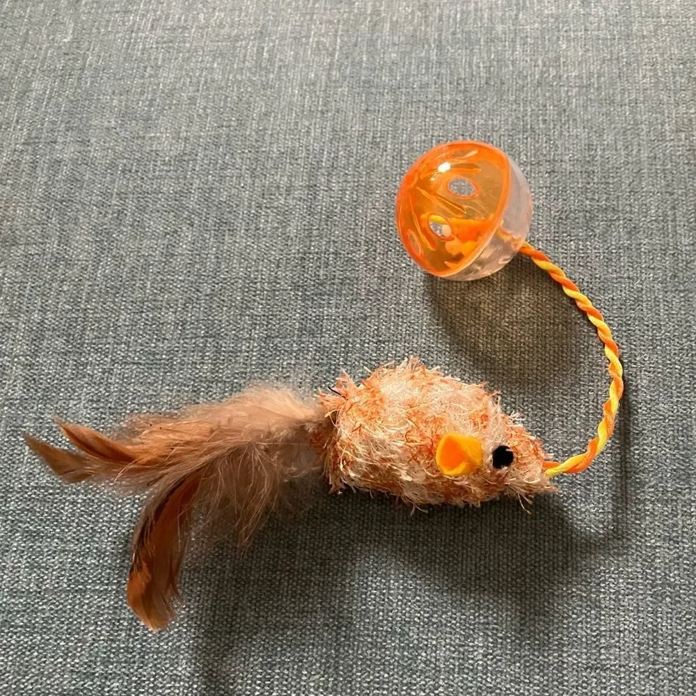 New Cat Toy